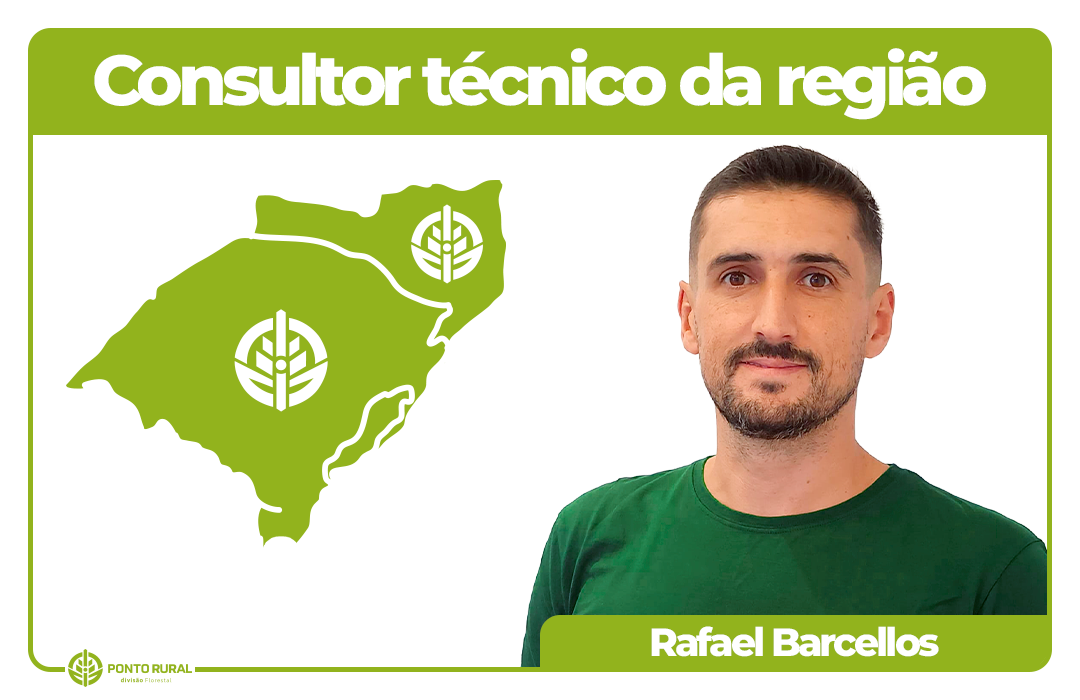 2 RAFAEL a