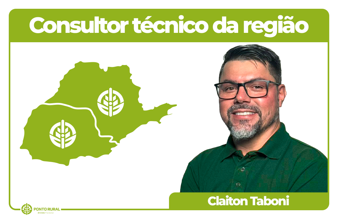 3 CLAITON a