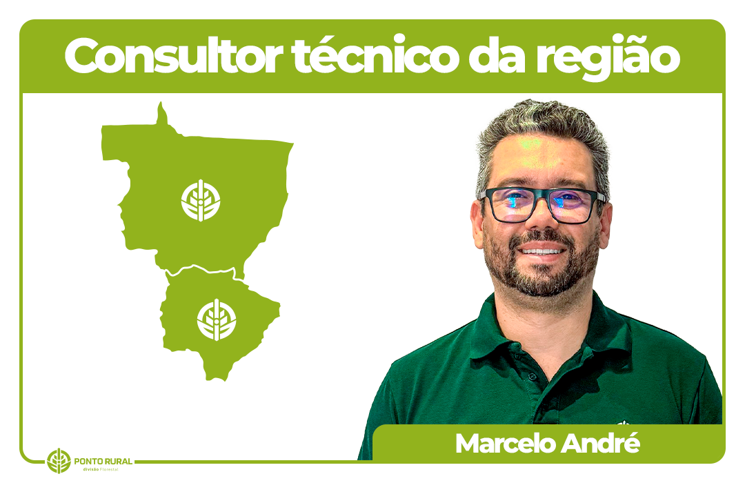 4 MARCELO a