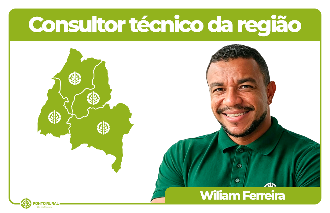 5 WILIAM a