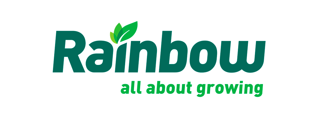 6 RAINBOW 1